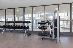 Gym3