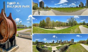 44-David-A-Balfour-Park
